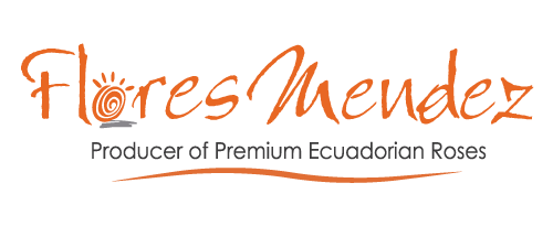 Flores Mendez